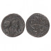 As of Augustus and Agrippa - Crocodile Palm