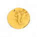 Aureus of Domitian - Cornucopia