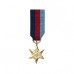 1939-1945 Star - Miniature