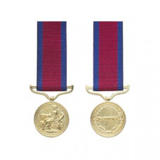 Army Gold Medal - Barrosa Reverse - Miniature