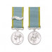 Crimea Medal - Miniature