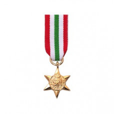 Italy Star - Miniature