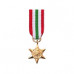 Italy Star - Miniature